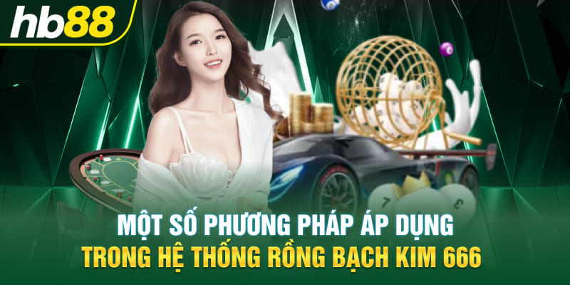 Một số phương pháp áp dụng trong hệ thống Rồng Bạch Kim 666